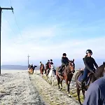 Unique 1 Centre Equestre Snack Apartment