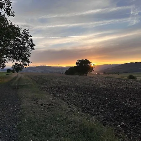 Unique 1 Centre Equestre Snack * Vic-le-Comte