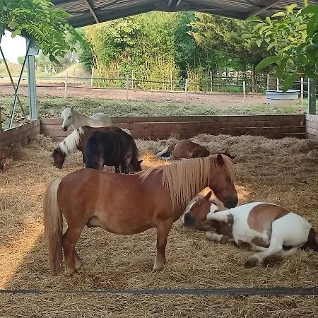 アパート Unique 1 Centre Equestre Snack *