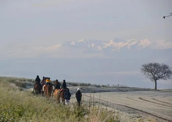 Apartament Unique 1 Centre Equestre Snack